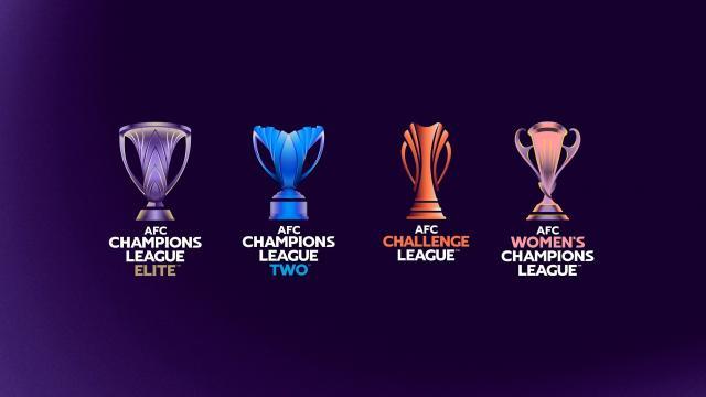 星空体育APP-亚足联大会暗流涌动 萨尔曼或连任西亚势力巩固