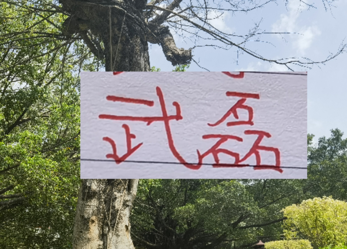 星空体育首页-2月海港就要打亚冠比赛 大概率武磊+莱昂纳多 这些一哥上不了