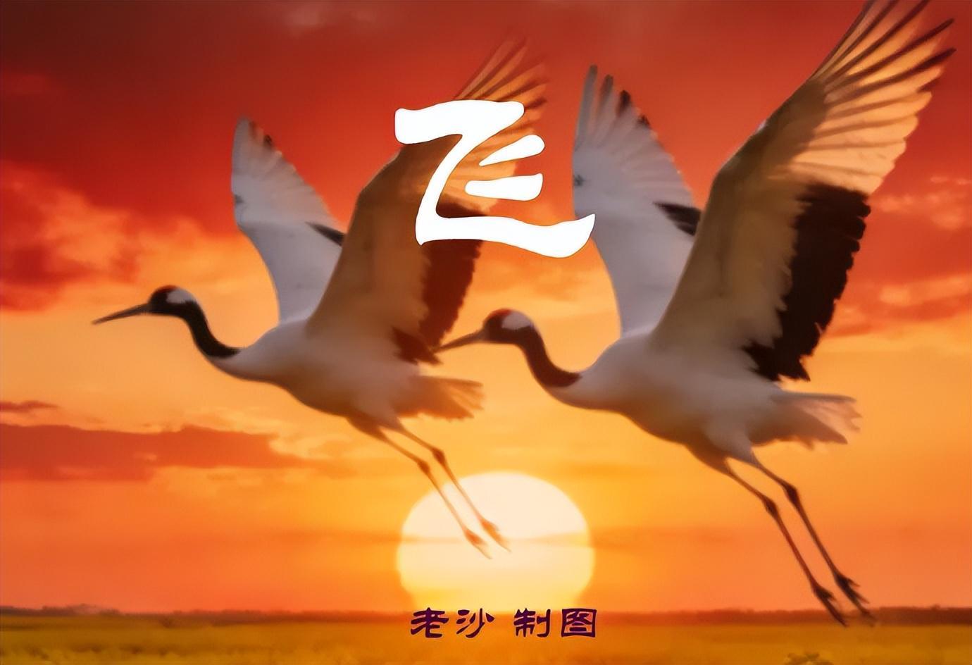 星空体育平台-4.28股市早8点丨英伟达疯了谷歌飙了